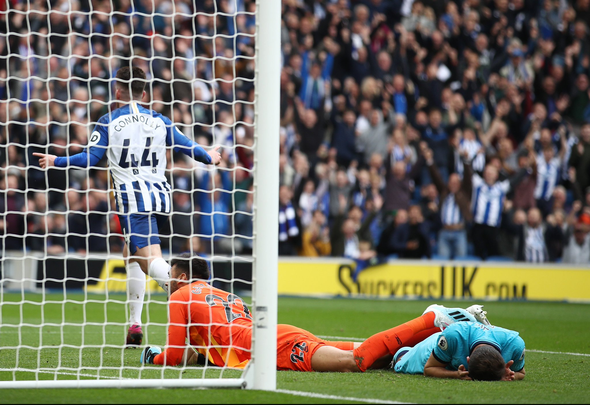 供了一个新 供了一个新